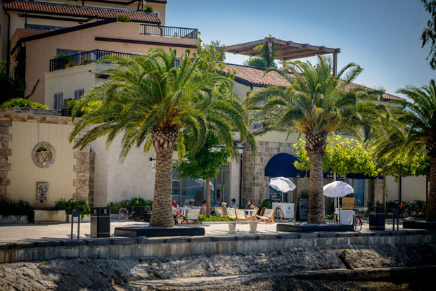 Половичан бојкот избора у Тивту